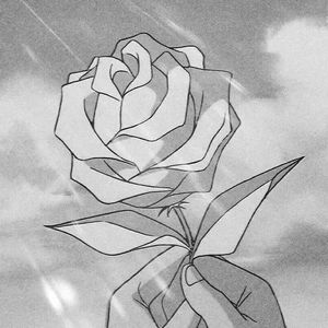 男女那个网站大全
