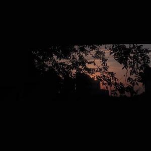 男女那个网站大全
